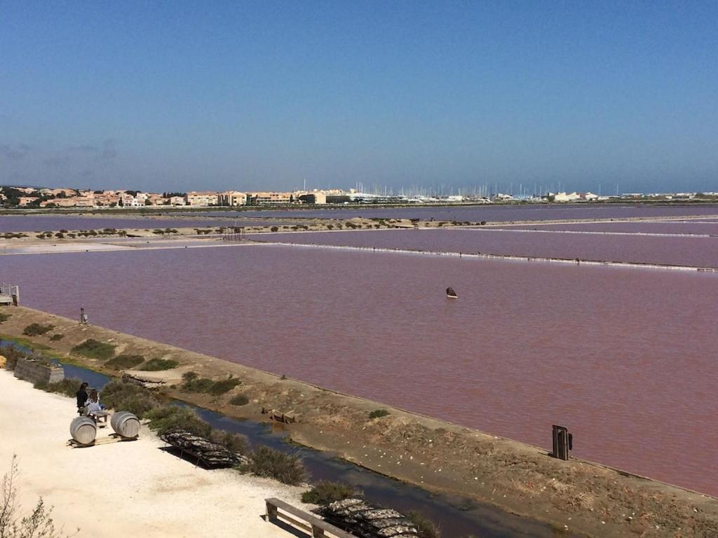 Gruissan Appartement Calme, Vue Sur Port De Plaisance -Clim, Empl.Parking المظهر الخارجي الصورة