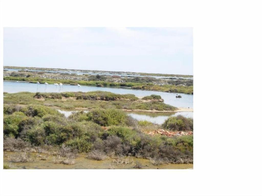 Gruissan Appartement Calme, Vue Sur Port De Plaisance -Clim, Empl.Parking المظهر الخارجي الصورة
